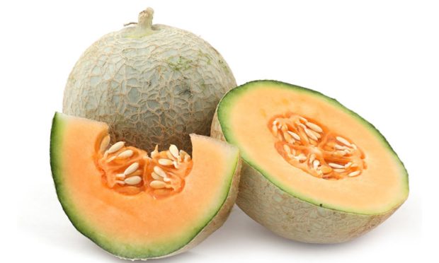 muskmelon