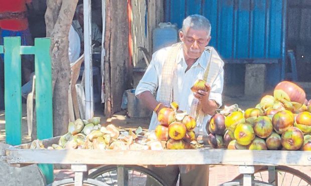 ಬಿಸಿಲಿನ ಬೇಗೆ: ತಾಟಿನಿಂಗು ಮಾರಾಟ ಜೋರು