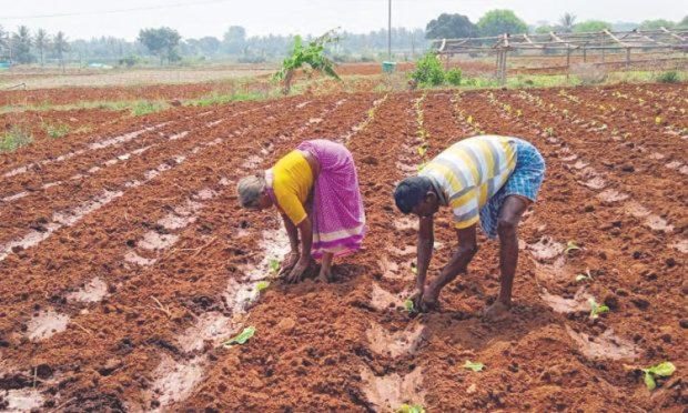 ಕೃಪೆ ತೋರದ ಮುಂಗಾರು ಪೂರ್ವ ಮಳೆ: ಐದು ವರ್ಷಗಳ ಬಳಿಕ ಕನಿಷ್ಠ