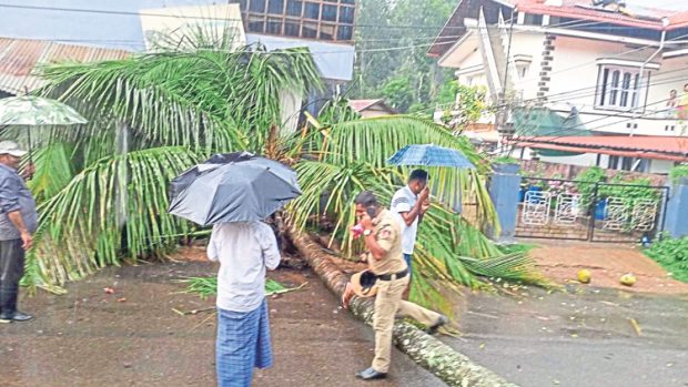 ನಾಪೋಕ್ಲು ಪರಿಸರದಲ್ಲಿ ಭಾರೀ ಮಳೆ, ಹಾನಿ: ವಿವಿಧೆಡೆ ರಸ್ತೆಗೆ ಉರುಳಿದ ಮರಗಳು