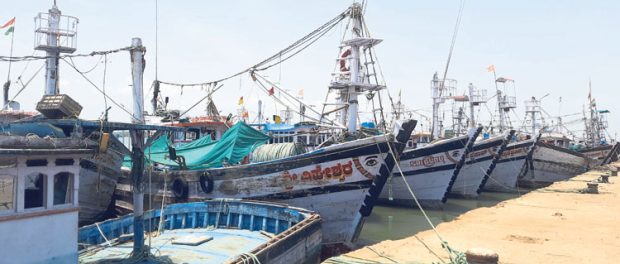 fishing ಋತುವಿಗೆ ತಾತ್ಕಾಲಿಕ ವಿರಾಮ; ಮತ್ಸ್ಯಕ್ಷಾಮ, ದರ ಇಲ್ಲ