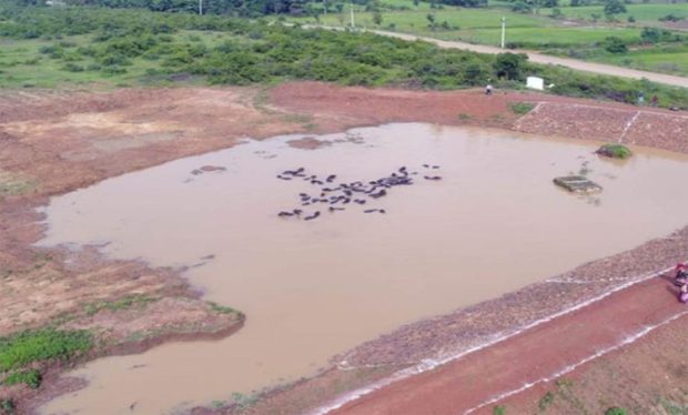 Mission Amrit Sarovar; ಸೊರಗುತ್ತಿವೆ ಅಮೃತ ಸರೋವರಗಳು!