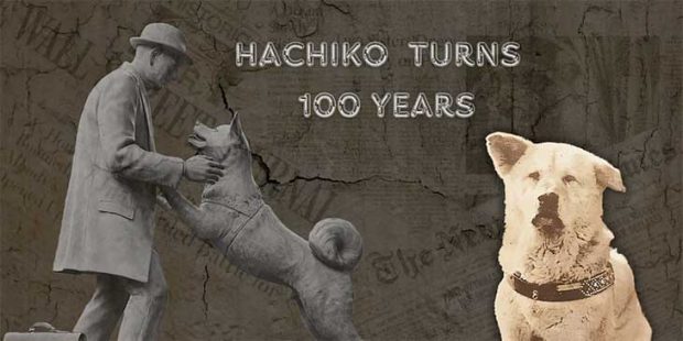 100 years of Hachiko: 100ನೇ ವರ್ಷದ ಸಂಭ್ರಮ- “ಹಚಿಕೋ ಎಂಬ ನಿಯತ್ತಿನ ಶ್ವಾನದ ಕಥೆ”