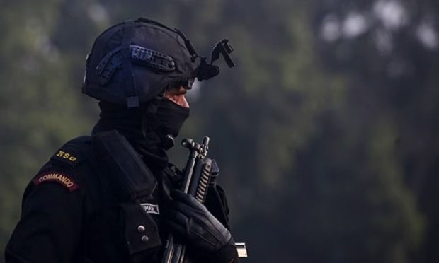 NSG COMMANDO