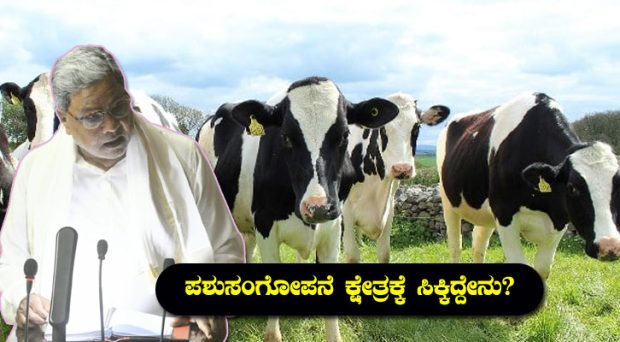 Budget:ಅನುಗ್ರಹ ಯೋಜನೆ ಮತ್ತೆ ಜಾರಿಗೆ; ಆಕಸ್ಮಿಕವಾಗಿ ಸಾವನ್ನಪ್ಪಿದ ಜಾನುವಾರುಗಳಿಗೆ ಪರಿಹಾರ