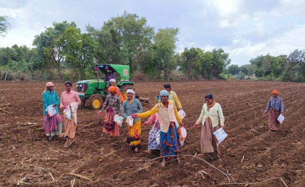 ಭರಮಸಾಗರ: ಮಳೆಯ ಅಭಾವದ ನಡುವೆಯೂ ಚುರುಕುಗೊಂಡ ಬಿತ್ತನೆ ಕಾರ್ಯ