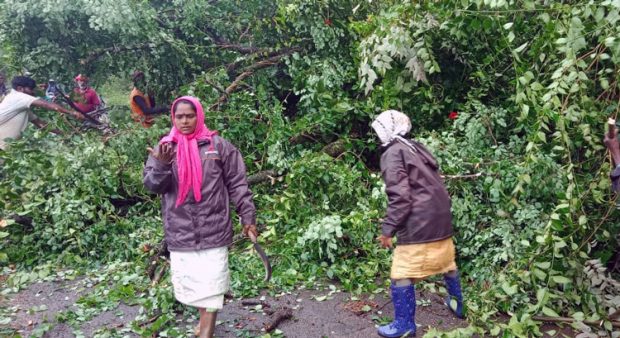 ಚಿಕ್ಕಮಗಳೂರು: ಭಾರಿ ಮಳೆಗೆ ಧರೆಗುರುಳಿದ ಮರ… ೨ ಗಂಟೆಗಳ ಕಾಲ ರಸ್ತೆ ಬಂದ್