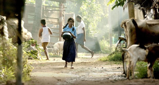 ಚಿತ್ರೋತ್ಸವಗಳಲ್ಲಿ ‘ಕೋಳಿ ಎಸ್ರು’ ಮಿಂಚು