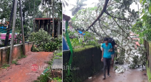 Surathkal: ತುಂಡಾಗಿ ಬಿದ್ದಿದ್ದ ವಿದ್ಯುತ್ ತಂತಿ ಸ್ಪರ್ಶಿಸಿ ವ್ಯಕ್ತಿ ಸಾವು