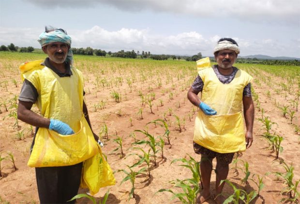 ಬೆಳೆಗಳಿಗೆ ರಸಗೊಬ್ಬರ ಹಾಕಲು ರೈತರ ಹೊಸ ಐಡಿಯಾ!