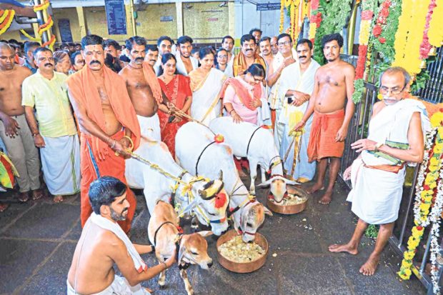 Kukke Shree Subrahmanya  7 ಲ. ರೂ. ಮೌಲ್ಯದ ಪುಂಗನೂರು ಹಸುಗಳು