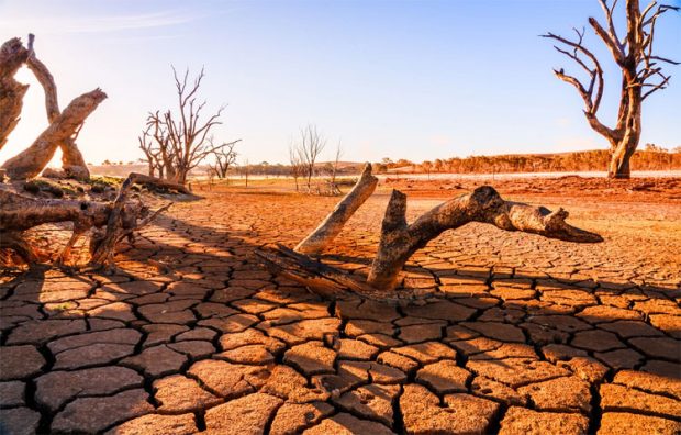 Lack of Rain:  ಪ್ರತಿ ತಿಂಗಳು ಒಂದು ಜಿಲ್ಲೆಯ ರೈತರೊಂದಿಗೆ ಸಂವಾದ: ಚಲುವರಾಯಸ್ವಾಮಿ