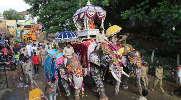 Mysore Dasara; ಮೈಸೂರು ದಸರಾಗೆ ಸಕ್ರೆಬೈಲು ಆನೆಗಳು: ಸಿದ್ಧತೆ ಆರಂಭ