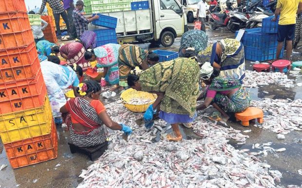 Malpe ಬೊಂಡಾಸ್‌ ಯಥೇಚ್ಛ; ದರ ಮಾತ್ರ ಕನಿಷ್ಠ