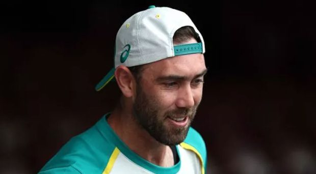 glenn maxwell