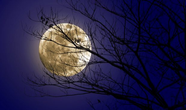 Supermoon: ಆ. 31: ಹುಣ್ಣಿಮೆಯ ಸೂಪರ್‌ಮೂನ್‌… 14 ಅಂಶ ದೊಡ್ಡದಾಗಿ ಕಾಣುವ ಚಂದ್ರ