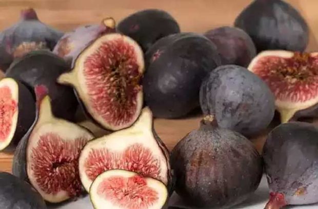 Fig Fruit: ಆದಾಯ ಹೆಚ್ಚಿಸಿಕೊಂಡ ಅಂಜೂರ ಬೆಳೆಗಾರ; ಡ್ರೈ ಫ್ರುಟ್‌ನಿಂದ ಆದಾಯ ವೃದ್ಧಿ