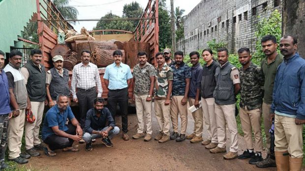 Forest Department ಬೀಟೆ ಮರ ಸಾಗಾಟ: ಆರೋಪಿಗಳ ಸೆರೆ