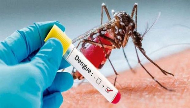 Dengue: ವಿಟ್ಲದ ಯುವತಿ ಮೃತ್ಯು.