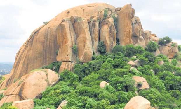 Breeding Centre: ಇನ್ನೂ ಪ್ರಾರಂಭವಾಗದ ರಣಹದ್ದುಗಳ ಬ್ರೀಡಿಂಗ್‌ ಸೆಂಟರ್‌