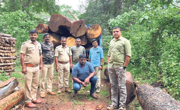 Uppinangady ಮರ ಅಕ್ರಮ ಸಾಗಾಟ ಪತ್ತೆ; ಓರ್ವನ ಬಂಧನ