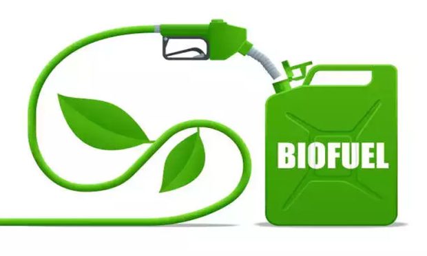 bio fuel