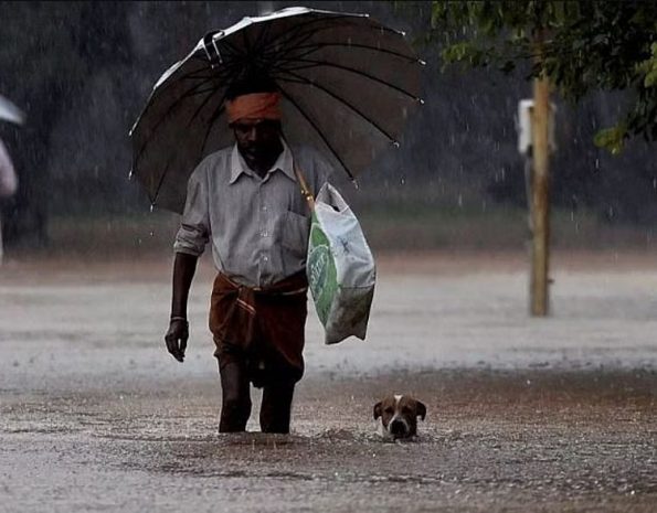 rain kerala