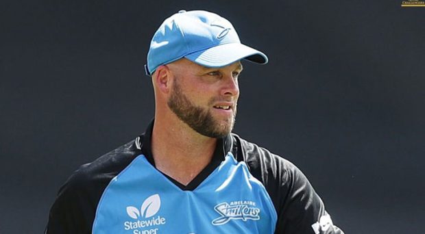 Big Bash Winning Coach Luke Williams Joins RCB Women’s Team as Head Coach