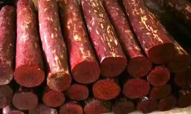 red sandalwood