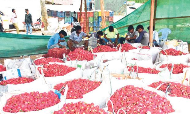 Floriculture: ಜಿಲ್ಲೆಯ ಪುಷ್ಪೋದ್ಯಮಕ್ಕೆ ಸಿಗದ ಮಾರುಕಟ್ಟೆ ಬಲ!