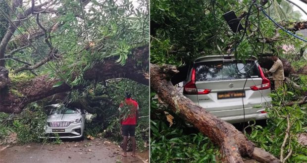 Goa ಭಾರೀ ಮಳೆ; ಕಾರುಗಳ ಮೇಲೆ ಬಿದ್ದ ಬೃಹತ್ ಮರ; ತಪ್ಪಿದ ಭಾರೀ ಅನಾಹುತ