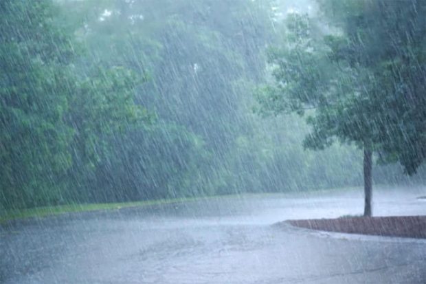 Rain ಹಲವೆಡೆ ಸಂಜೆ, ರಾತ್ರಿ ಗುಡುಗು ಸಹಿತ ಮಳೆ