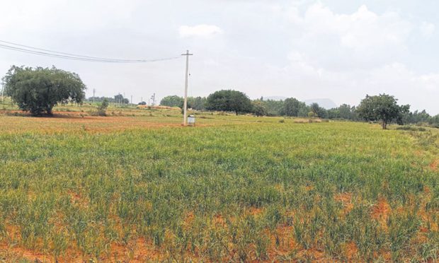 Central Drought Study Team: ನಾಳೆ ಜಿಲ್ಲೆಗೆ ಕೇಂದ್ರ ಬರ ಅಧ್ಯಯನ ತಂಡ