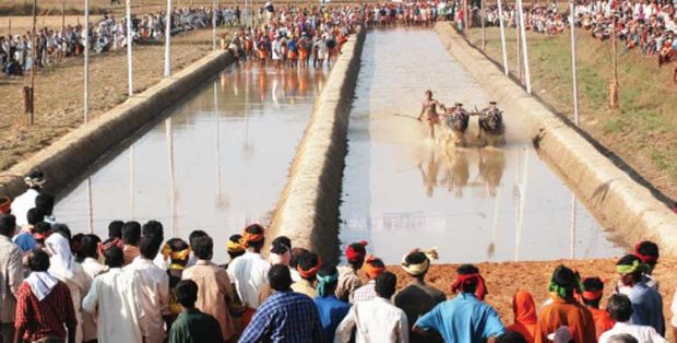 Kambala:ಅರಸು ಕಂಬಳ ಡಿಸೆಂಬರ್‌ನಲ್ಲಿ ನಡೆಯುವುದು ವಾಡಿಕೆ ಕಂಬಳಕ್ಕೆ ದೈವಾರಾಧನೆಯ ಶಕ್ತಿಯಿದೆ