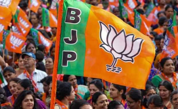 BJP FLAG 2