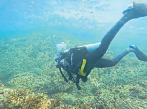 Scuba diving: ಕುಂದಾಪುರದಲ್ಲಿ ಇಂದಿನಿಂದ ಸ್ಕೂಬಾ ಡೈವಿಂಗ್‌- ಏನೆಲ್ಲ ವಿಶೇಷತೆಗಳಿವೆ?