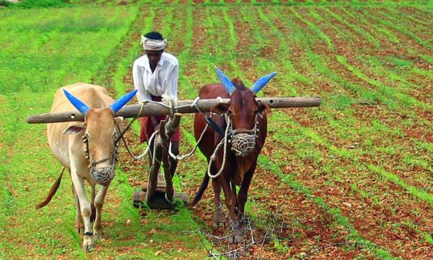 Farmers: 64 ಕೋಟಿ ಪೈಕಿ ರೈತರಿಗೆ ಸಿಕ್ಕಿದ್ದು 14 ಕೋಟಿ ಬರ ಪರಿಹಾರ!