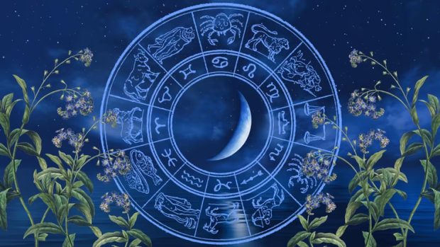 Daily Horoscope: ಸರಕಾರಿ ನೌಕರರಿಗೆ ಸಮಾಧಾನದ ಜತೆಯಲ್ಲೇ ಆತಂಕದ ಭಾವ