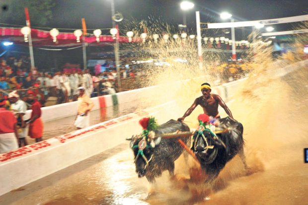 Kambala, ಕ್ರೀಡೆಗೆ ಉತ್ತೇಜನ: ಸಚಿವ ಬಿ. ನಾಗೇಂದ್ರ