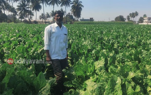 Sugar Beet Crop; ನೂತನ ಪ್ರಯೋಗದತ್ತ ನಿಂಗಸಾನಿ ಸಹೋದರರು