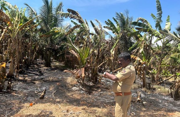 Hunasuru: ಆಕಸ್ಮಿಕ ಬೆಂಕಿಗೆ ಬಾಳೆ, ತೆಂಗು, ಬಿದಿರು ಸುಟ್ಟು ಭಸ್ಮ… ಲಕ್ಷಾಂತರರೂ ನಷ್ಟ