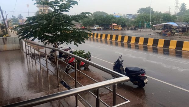 Rain: ಬಿಸಿಲಿನಿಂದ ಕಂಗೆಟ್ಟಿದ್ದ ಮಲೆನಾಡಿನ ಜನರಿಗೆ ತಂಪೆರೆದ ಮಳೆರಾಯ