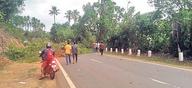 Wind-Rain: ವಿವಿಧೆಡೆ ಉರುಳಿ ಬಿದ್ದ ಮರಗಳು