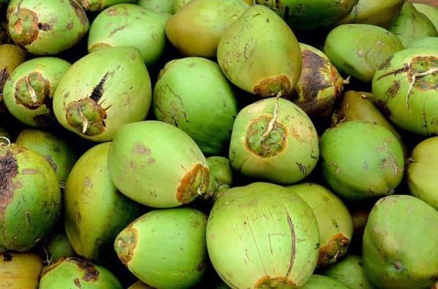 Coconut Water ಹೆಚ್ಚಿದ ಬಿಸಿಲ ಬೇಗೆ: ಎಳನೀರಿಗೆ 60 ರೂ.!