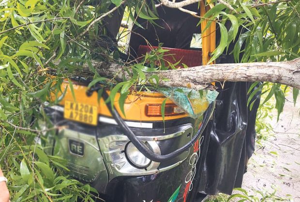 Rain ತೆಕ್ಕಟ್ಟೆ; ರಿಕ್ಷಾದ ಮೇಲೆ ಉರುಳಿದ ಮರ