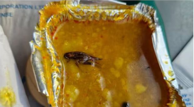 Cockroach found in food of Vande Bharat Express train; IRCTC Apologized