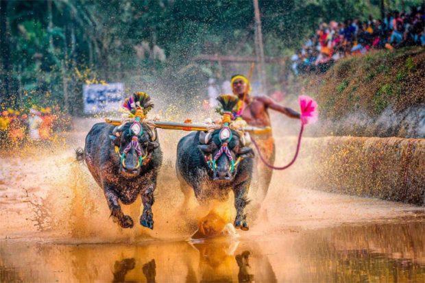 ಕಂಬಳಕ್ಕೆ ಸರಕಾರದಿಂದ ಸಿಗದ ಅನುದಾನ:ಇಂದು ತುರ್ತು ಸಭೆ