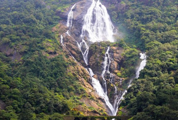 Panaji: ಗೋವಾದ ಸಂರಕ್ಷಿತ ಅರಣ್ಯ ಪ್ರದೇಶಗಳಲ್ಲಿನ ಜಲಪಾತಗಳಿಗೆ ಪ್ರವಾಸಿಗರಿಗೆ ಪ್ರವೇಶ ನಿಷೇಧ