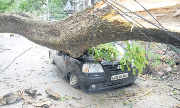 Heavy Rain: ಭಾರೀ ಗಾಳಿಗೆ 56 ಮರ ಧರೆಗೆ; 6 ಮಂದಿಗೆ ಗಾಯ