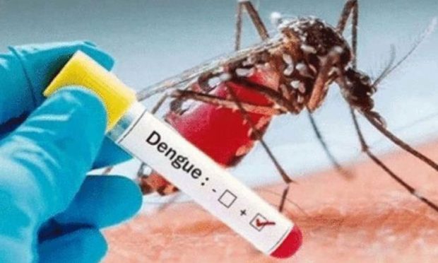 Dengue cases: 486 ಮಂದಿಯಲ್ಲಿ ಡೆಂಘೀ ದೃಢ; ಸೋಂಕಿತರ ಸಂಖ್ಯೆ 13,754ಕ್ಕೆ ಏರಿಕೆ